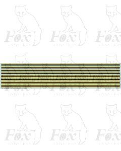 Yellow and black coach lining