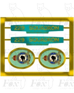 34063 229 SQUADRON