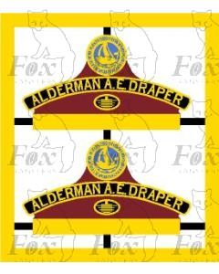45305  ALDERMAN A E DRAPER