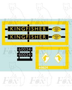 60024  KINGFISHER