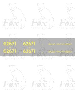 62671 BALIE MACWHEEBLE