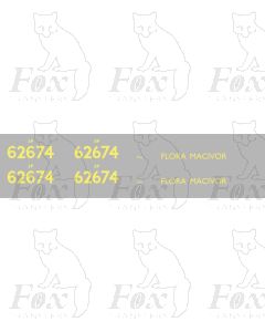 62674 FLORA MACIVOR