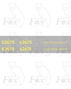 62678 LUCKIE MUCKLEBACKIT