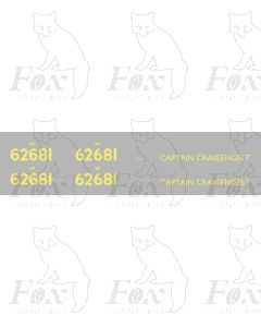 62681 CAPTAIN CRAIGENGELT