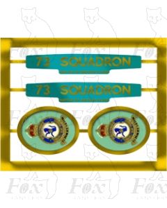 21C161  73 SQUADRON