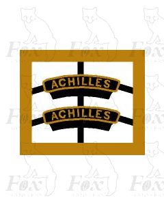 45697  ACHILLES  