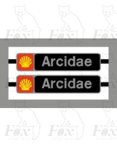 47119 Arcidae