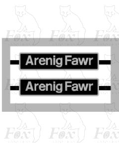 60017 Arenig Fawr