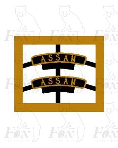 45583  ASSAM  