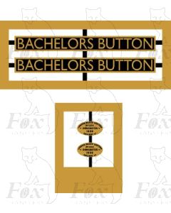 60537  BACHELORS BUTTON