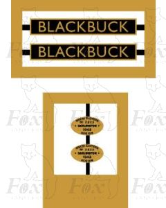 1006  BLACKBUCK