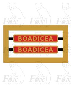 70036  BOADICEA