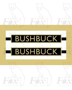 61017  BUSHBUCK