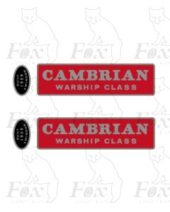 D806 CAMBRIAN