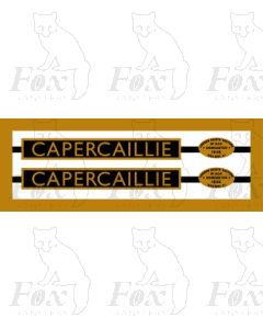 4901-5 CAPERCAILLIE