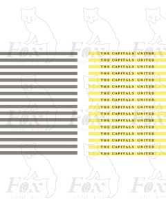 Coachboards - THE CAPITALS UNITED - multicolour