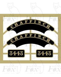 3443 CHAFFINCH