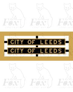 46248 CITY OF LEEDS 