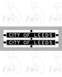 6248 CITY OF LEEDS (for Streamlined Locos) 
