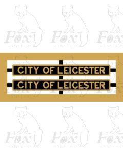46252 CITY OF LEICESTER 