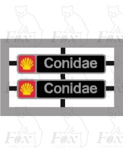37706 Conidae