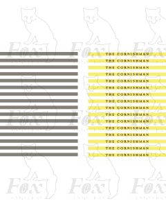 Coachboards - THE CORNISHMAN - multicolour