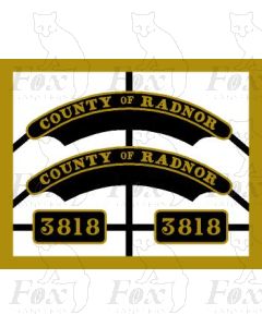 3818 COUNTY OF RADNOR