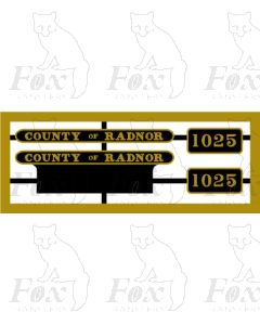 1025 COUNTY OF RADNOR