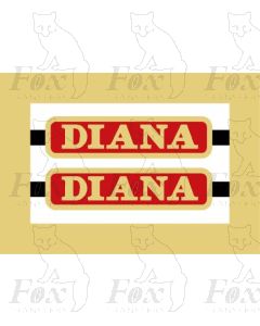27003 DIANA