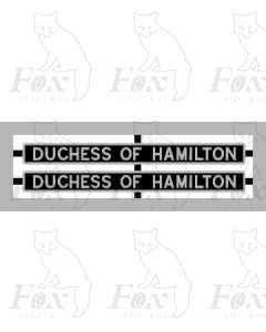  DUCHESS OF HAMILTON (EARLY LMS format in STAINLESS STEEL)
