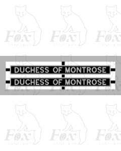 6232 DUCHESS OF MONTROSE (Original)
