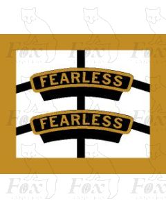 45723 FEARLESS