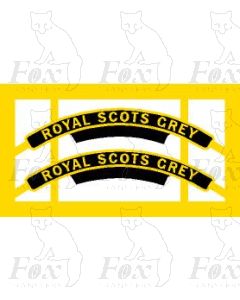 46101 ROYAL SCOTS GREY