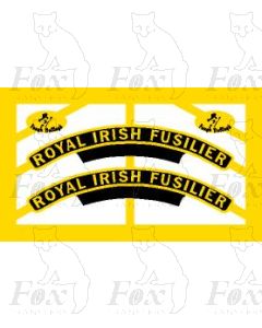 46123 ROYAL IRISH FUSILIER