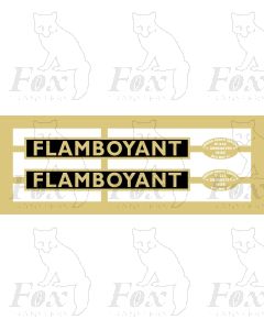60153 FLAMBOYANT