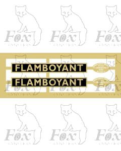 60153  FLAMBOYANT