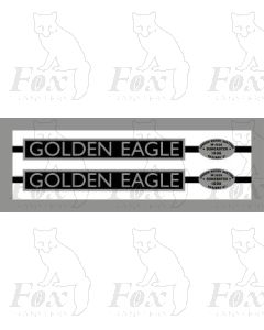 4482  GOLDEN EAGLE (Stainless steel)