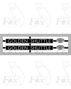 4496  GOLDEN SHUTTLE (Stainless steel)