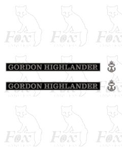 55016 GORDON HIGHLANDER