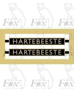 1009  HARTEBEESTE
