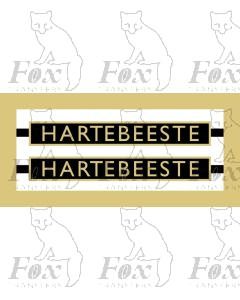 61009  HARTEBEESTE