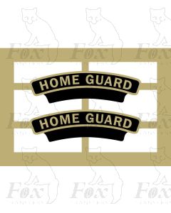45543  HOME GUARD