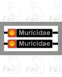 47195 Muricidae