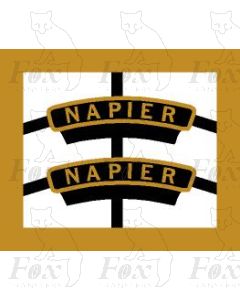 45646  NAPIER