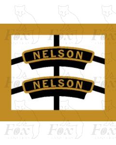 45664  NELSON