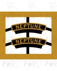 45687  NEPTUNE