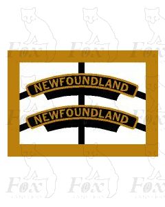 45573  NEWFOUNDLAND  