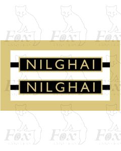 61019  NILGHAI