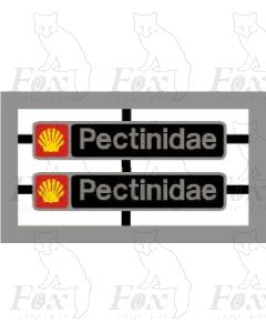 37418 Pectinidae