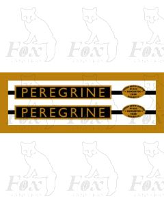 4903-34 PEREGRINE